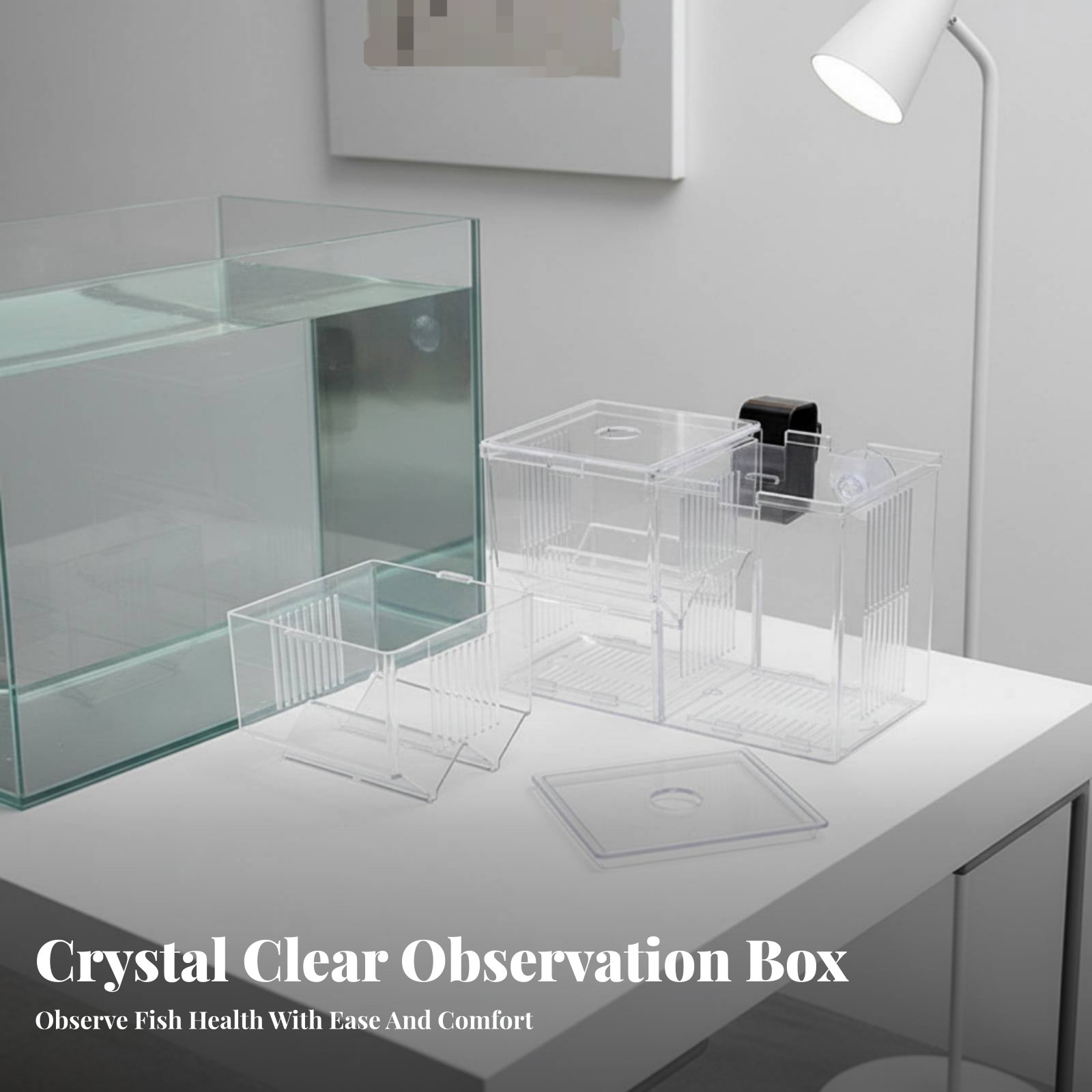 Caja de Cría para Hábitat Acuá - Box Fish In Aquarium reseña y precio