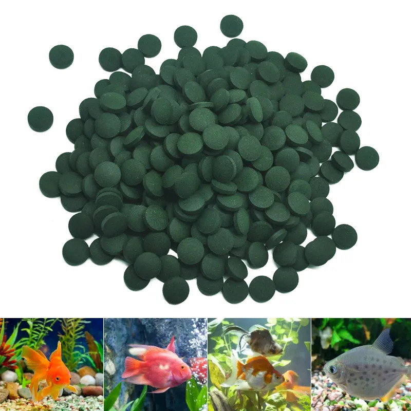 Tabletas de espirulina de alta - Aquarium Fish Holiday Food reseña y precio