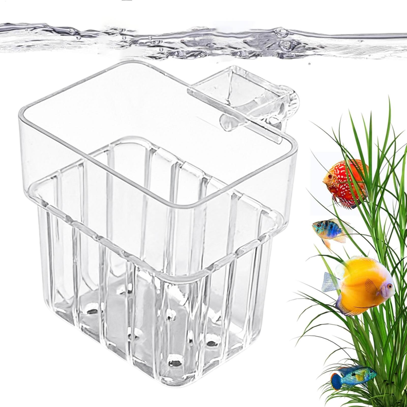 Maceta Transparente Colgante p - Aquarium Fish Names reseña y precio