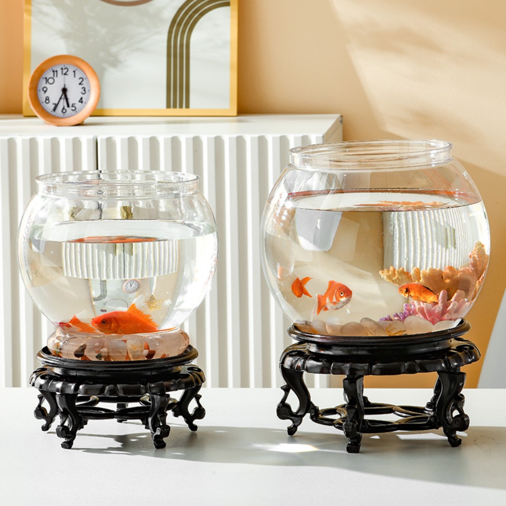 Pecera redonda transparente de - Aquarium Fish Names reseña y precio