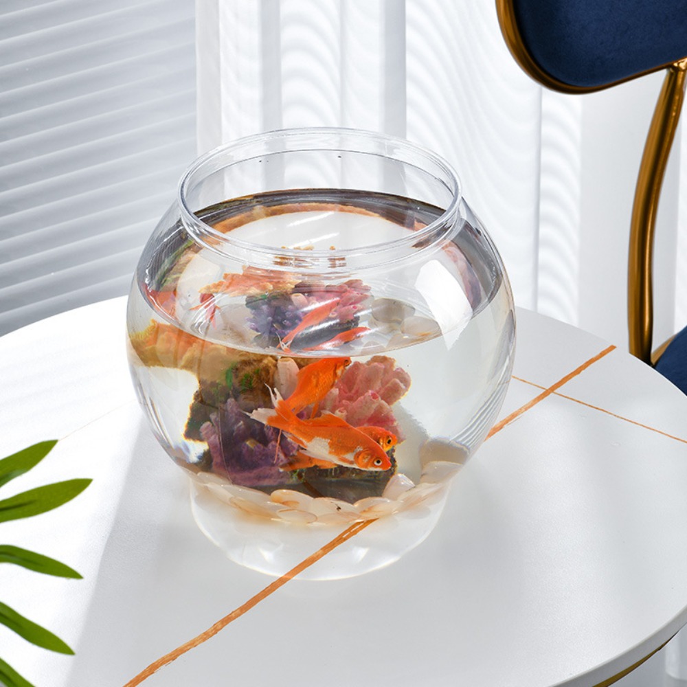 Pecera redonda transparente de - Aquarium Fish Names reseña y precio