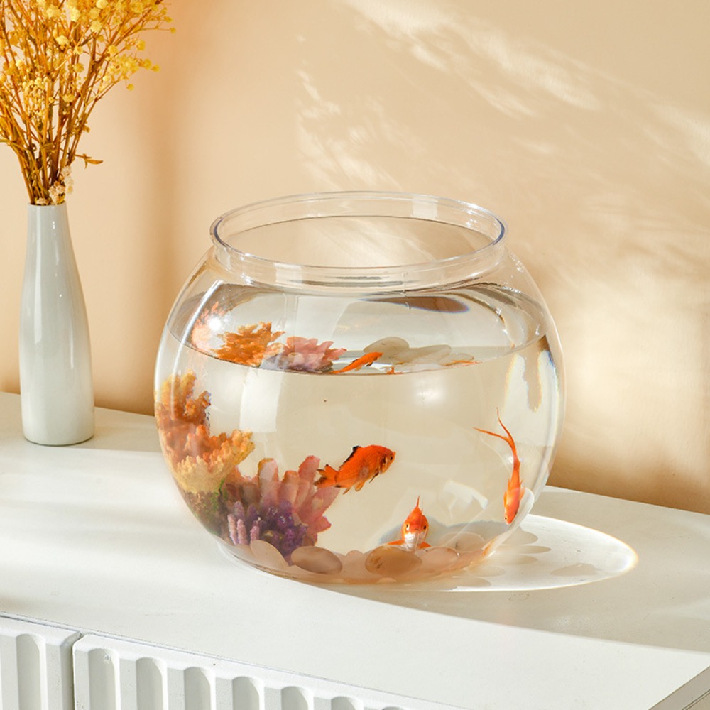 Pecera redonda transparente de - Aquarium Fish Names reseña y precio