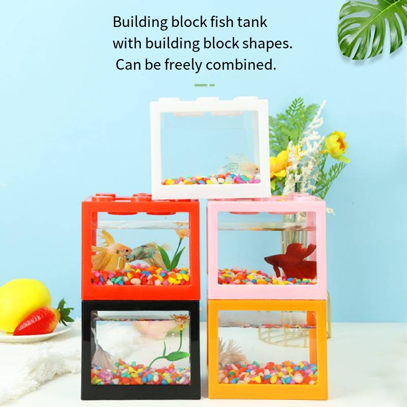 Mini Acuario de Escritorio en  - Aquarium Fish Names reseña y precio