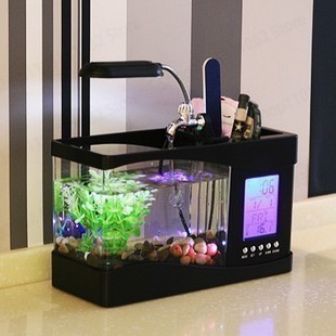 Mini Pecera Creativa de Escrit - Aquarium Fish Logo reseña y precio