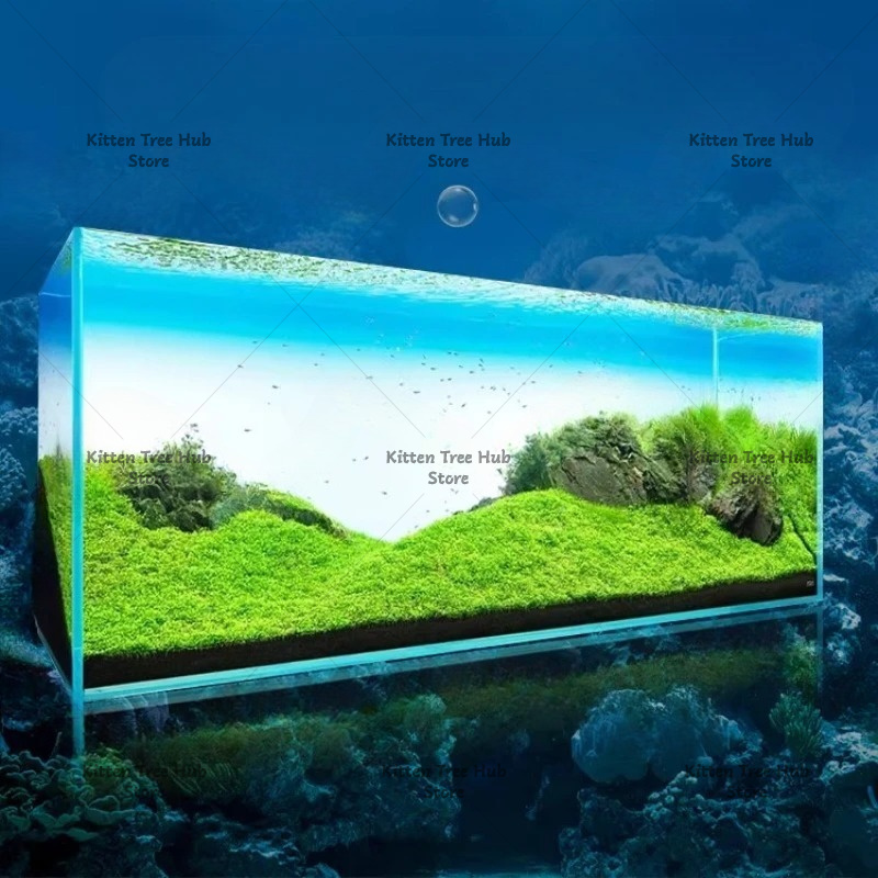 Panel de Fondo para Pecera con - Aquarium Fish Rainbow reseña y precio