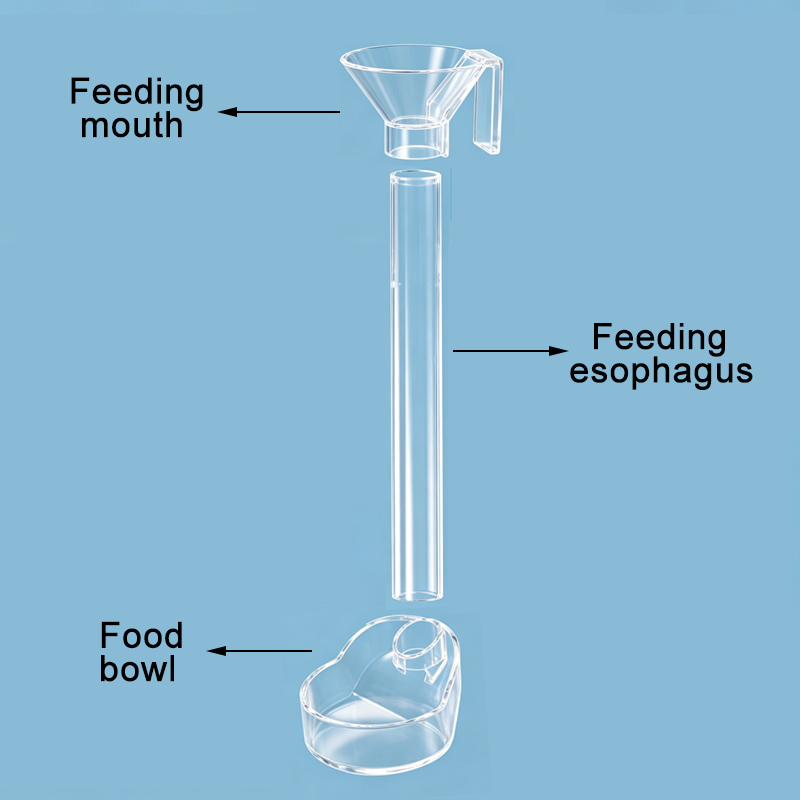 Alimentador de peces de acuari - Aquarium Fish Holiday Food reseña y precio