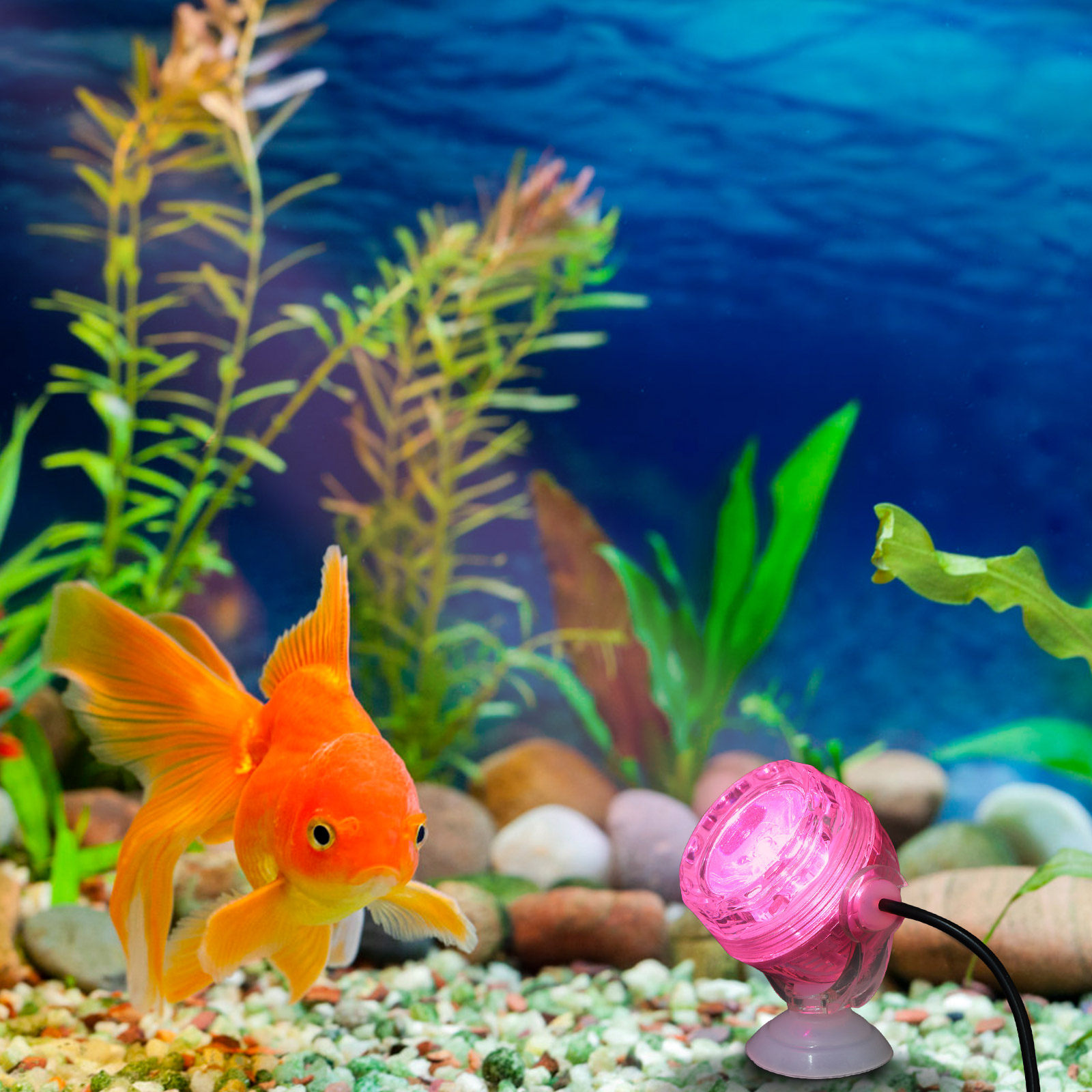 Luz LED sumergible e impermeab - Aquarium Fish Rainbow reseña y precio
