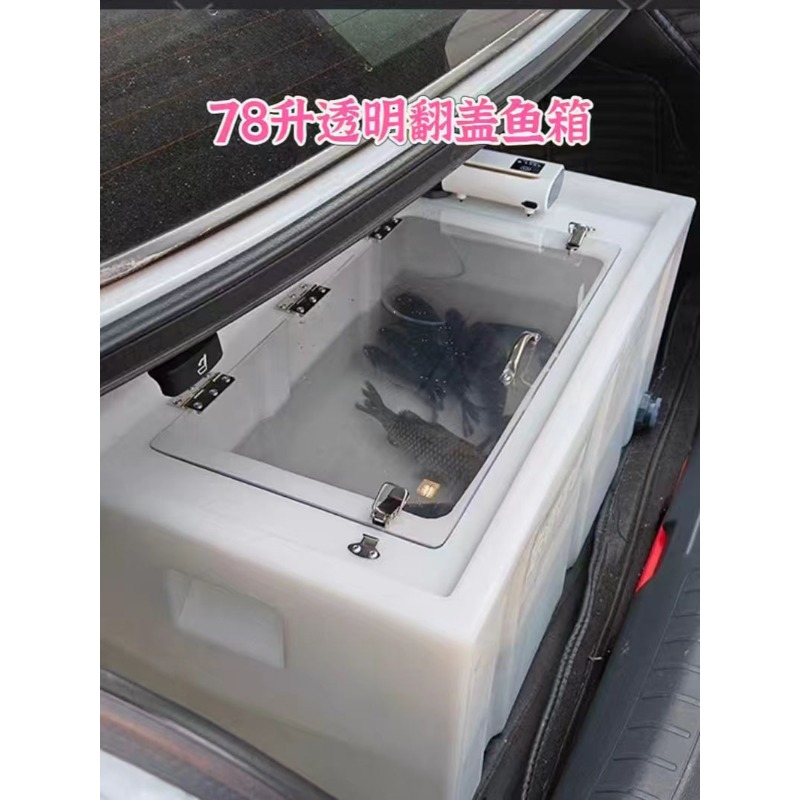 Caja para peces vivos montada  - Aquarium Fish Buy reseña y precio