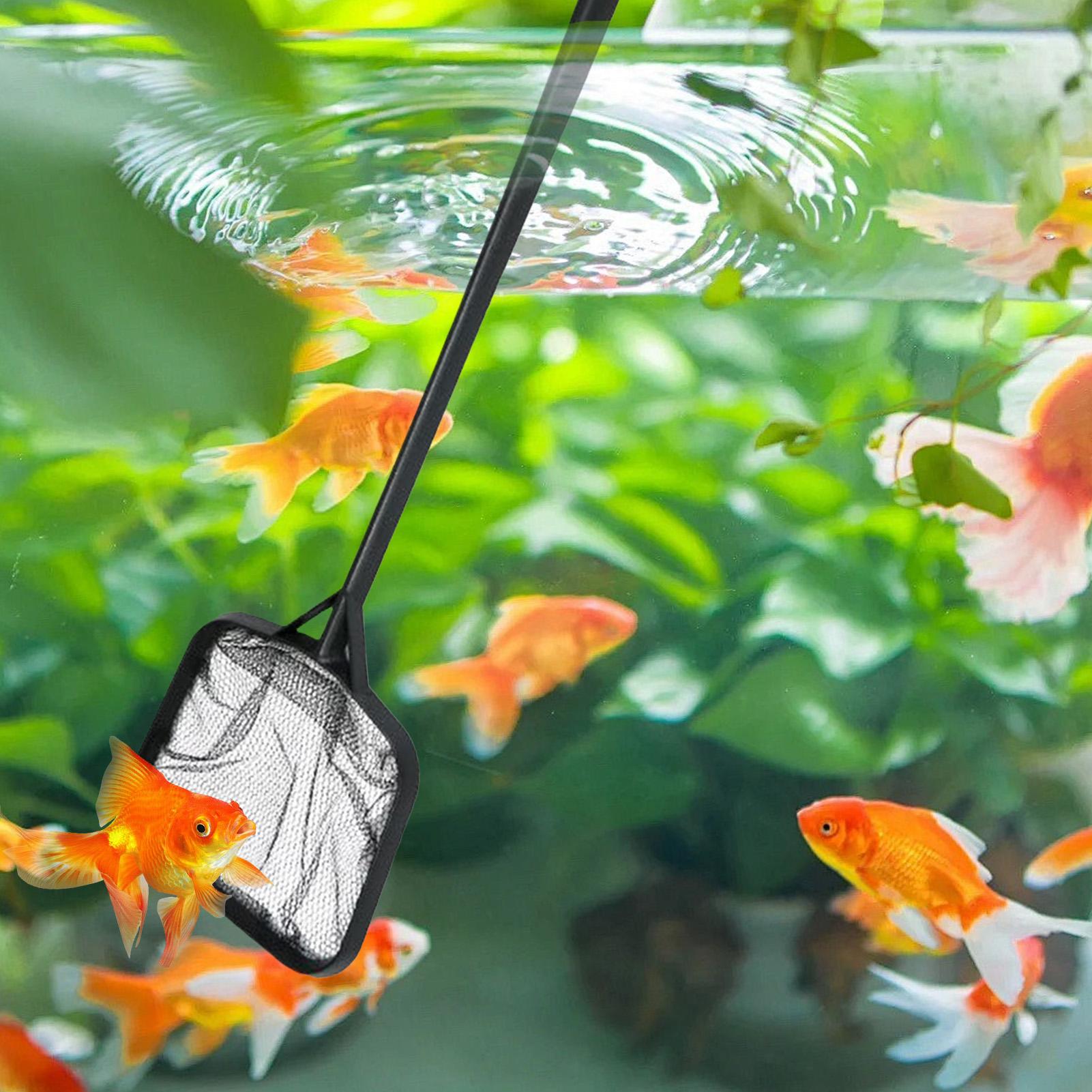 Redes de limpieza para piscina - Aquarium Fish Buy reseña y precio