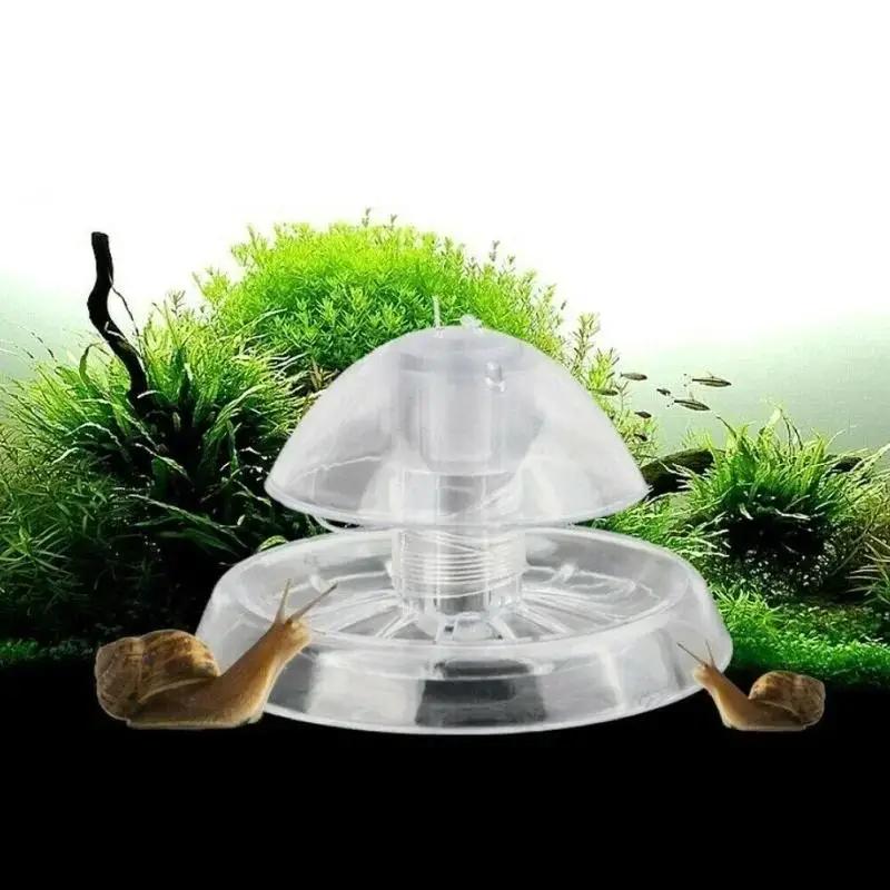Nueva Trampa para Caracoles de - Box Fish In Aquarium reseña y precio
