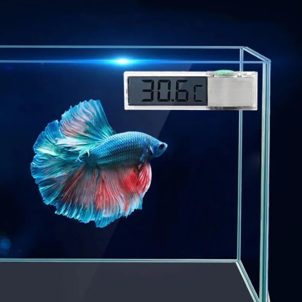 Termómetro de acuario electrón - Aquarium Fish Buy reseña y precio
