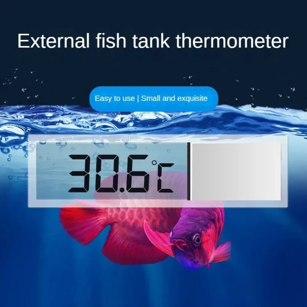 Termómetro de acuario electrón - Aquarium Fish Buy reseña y precio