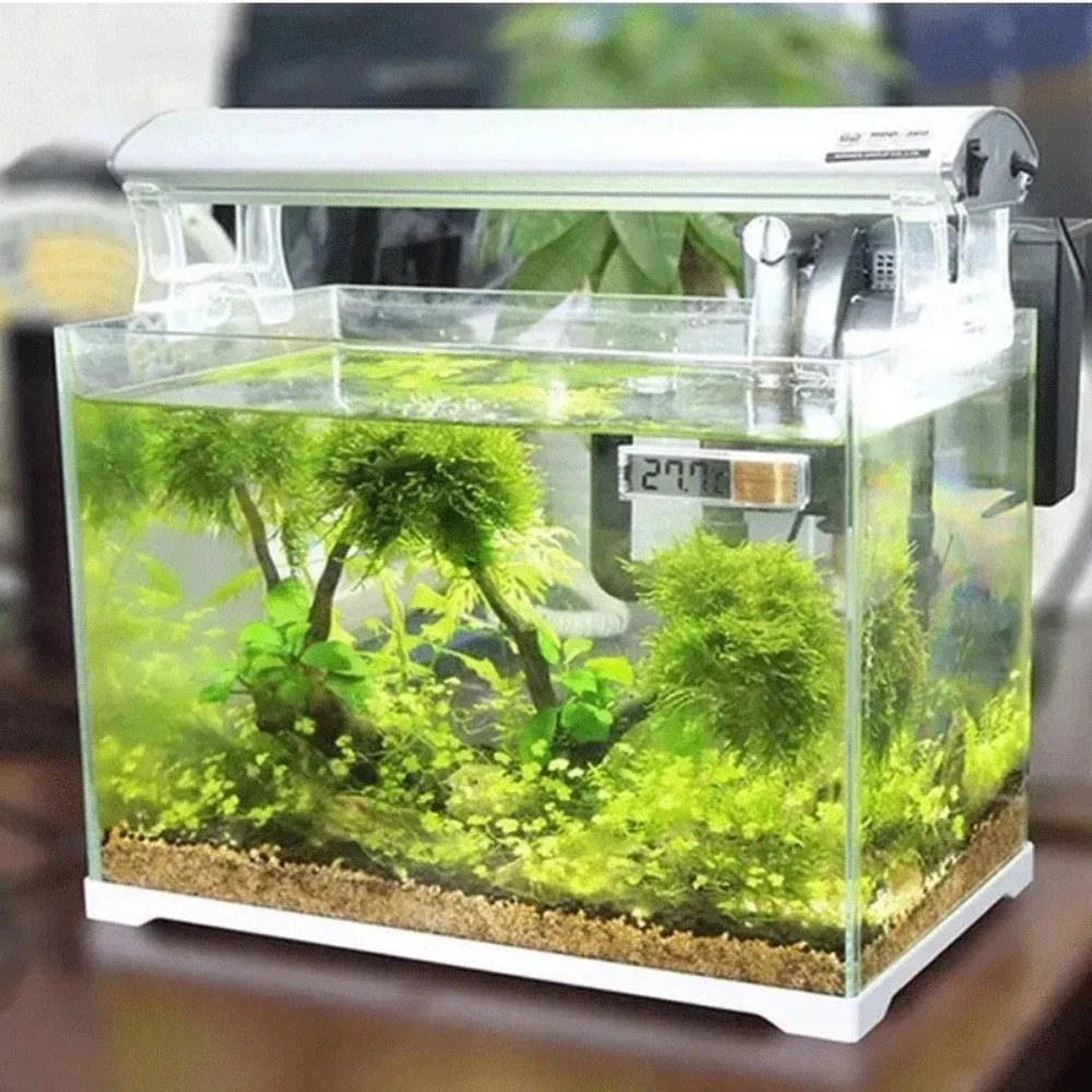 Termómetro de acuario electrón - Aquarium Fish Buy reseña y precio