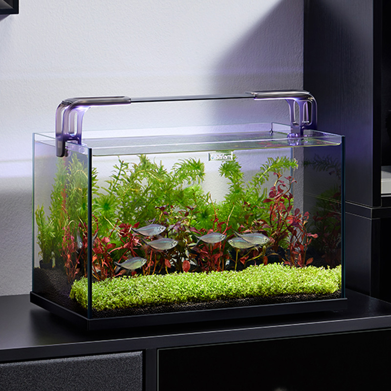 sttl Cherlam - Pecera Pequeña  - Aquarium Xxl reseña y precio