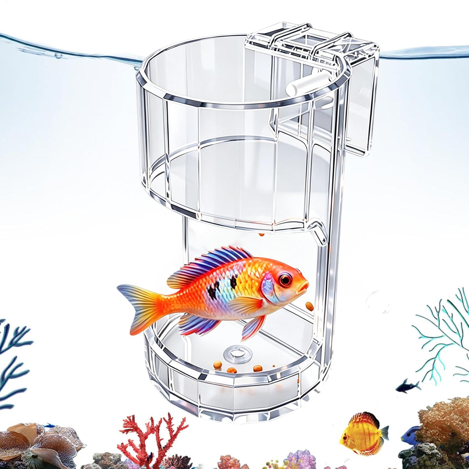 Plato de Alimentación para Acu - Aquarium Fish Holiday Food reseña y precio