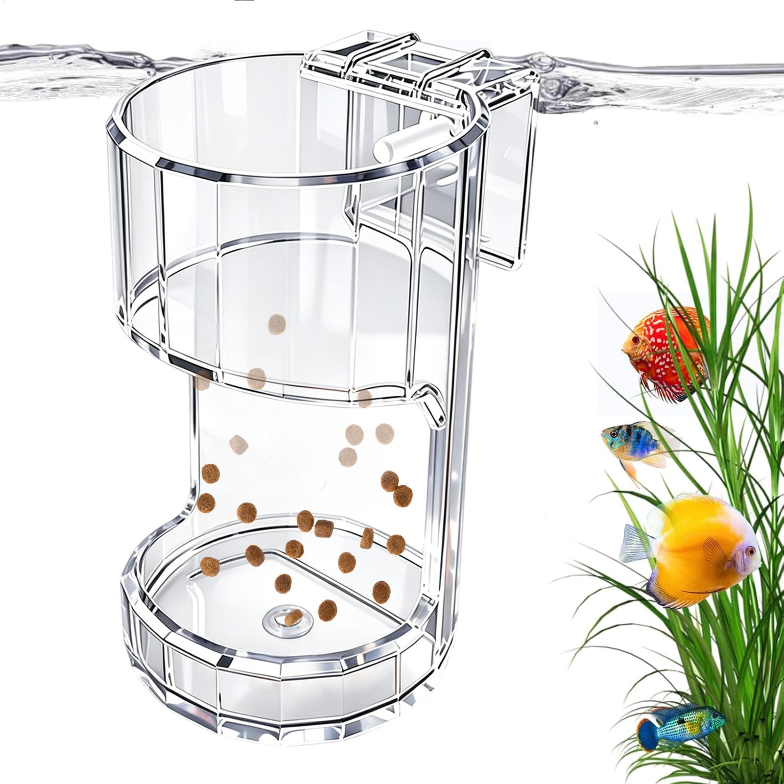 Plato de Alimentación para Acu - Aquarium Fish Holiday Food reseña y precio