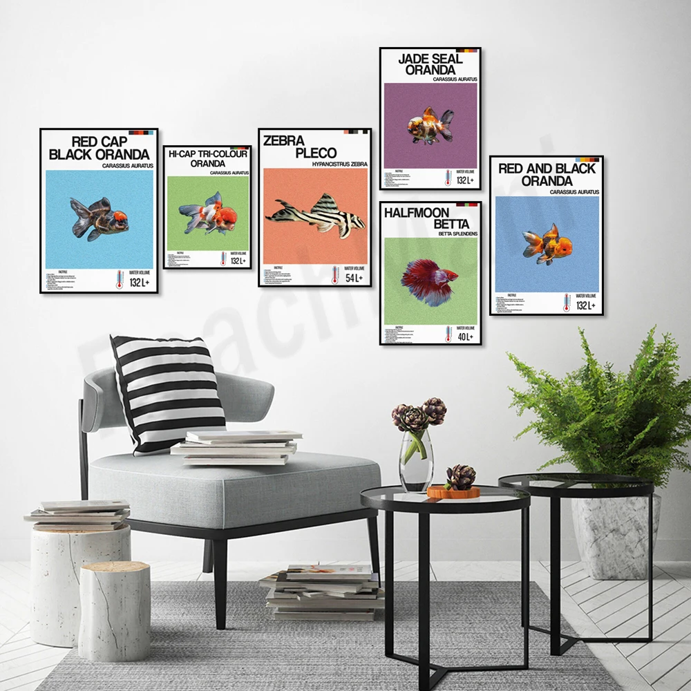 Impresión de información de pe - Aquarium Fish Zebra reseña y precio