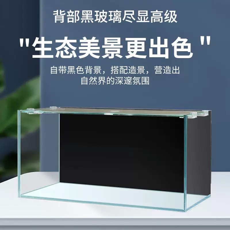 Acuario de escritorio para ofi - Aquarium Xxl reseña y precio