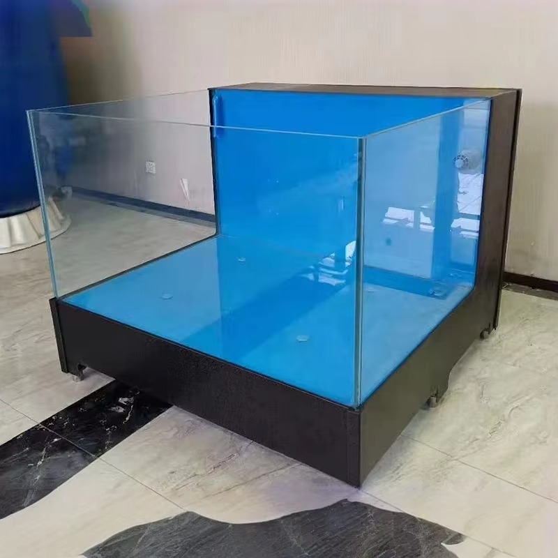 Acuario Cuadrado de Vidrio par - Aquarium Xxl reseña y precio