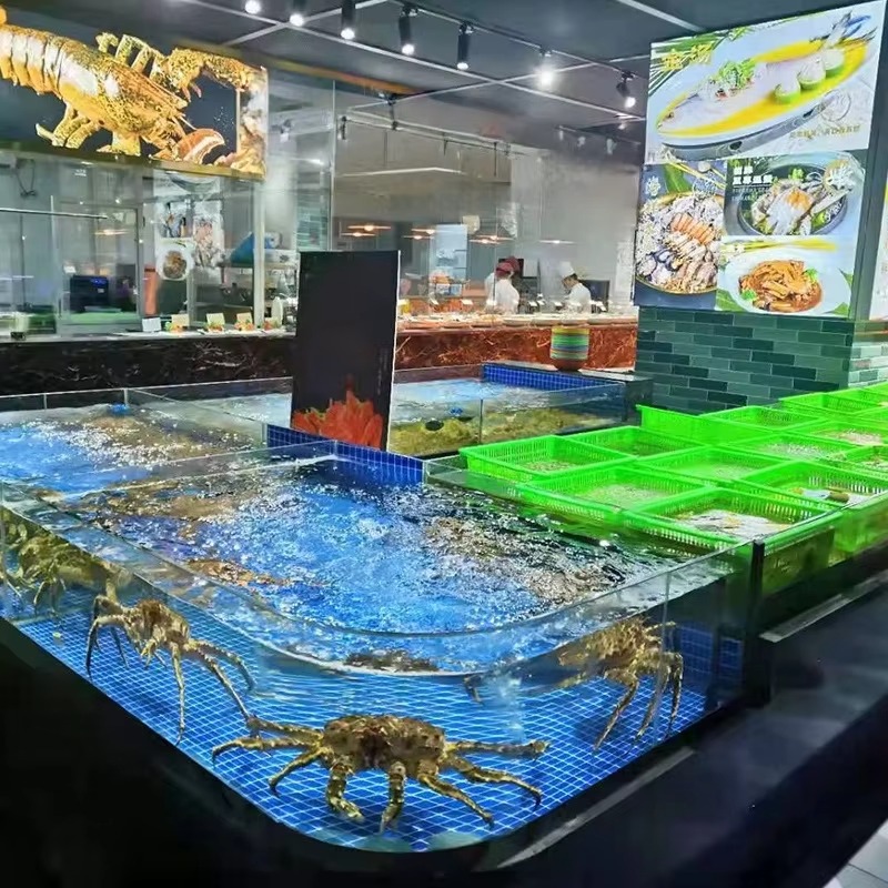 Acuario Cuadrado de Vidrio par - Aquarium Xxl reseña y precio