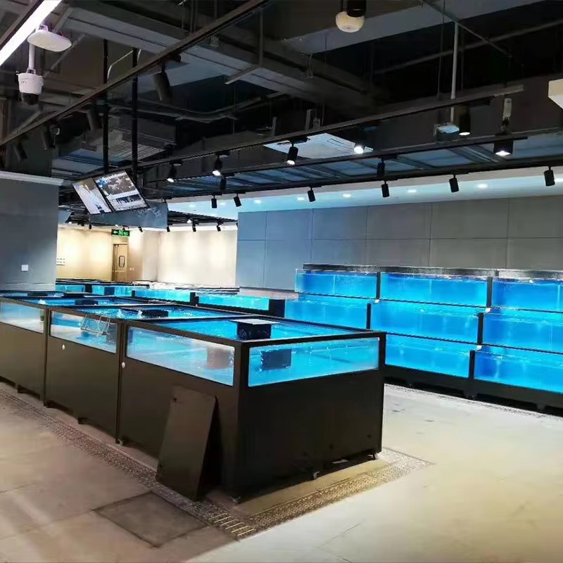 Acuario Cuadrado de Vidrio par - Aquarium Xxl reseña y precio