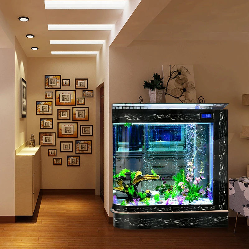 Un acuario de pecera de bala,  - Aquarium Xxl reseña y precio