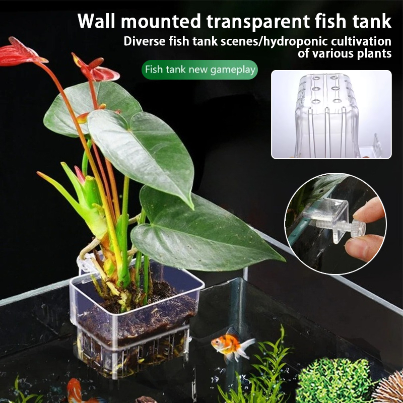 Macetas Colgantes para Acuario - Aquarium Fish Background reseña y precio