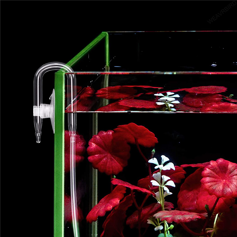 Conector de tubo de aire en fo - Aquarium Fish Buy reseña y precio