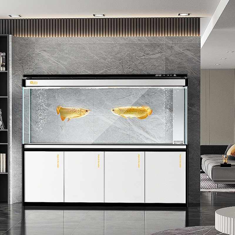 Acuario grande para sala de es - Aquarium Xxl reseña y precio