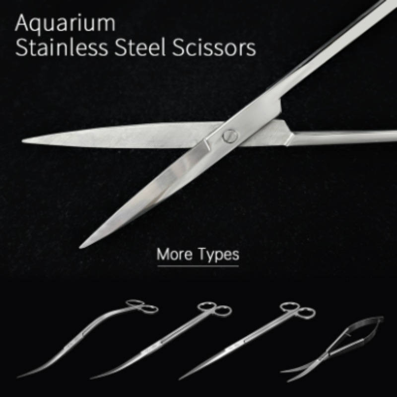 Tijeras para Plantas Acuáticas - Aquarium Fish Buy reseña y precio