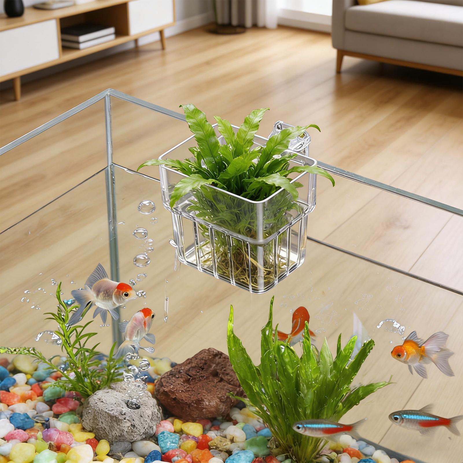 Maceta Transparente Colgante p - Aquarium Fish Names reseña y precio