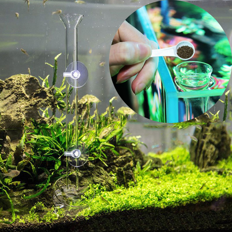 Alimentador de acuario de vidr - Aquarium Fish Holiday Food reseña y precio