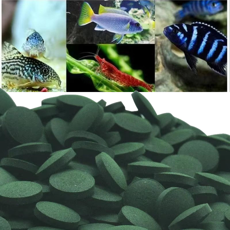 50/100/300/500 Uds tabletas de - Aquarium Fish Holiday Food reseña y precio