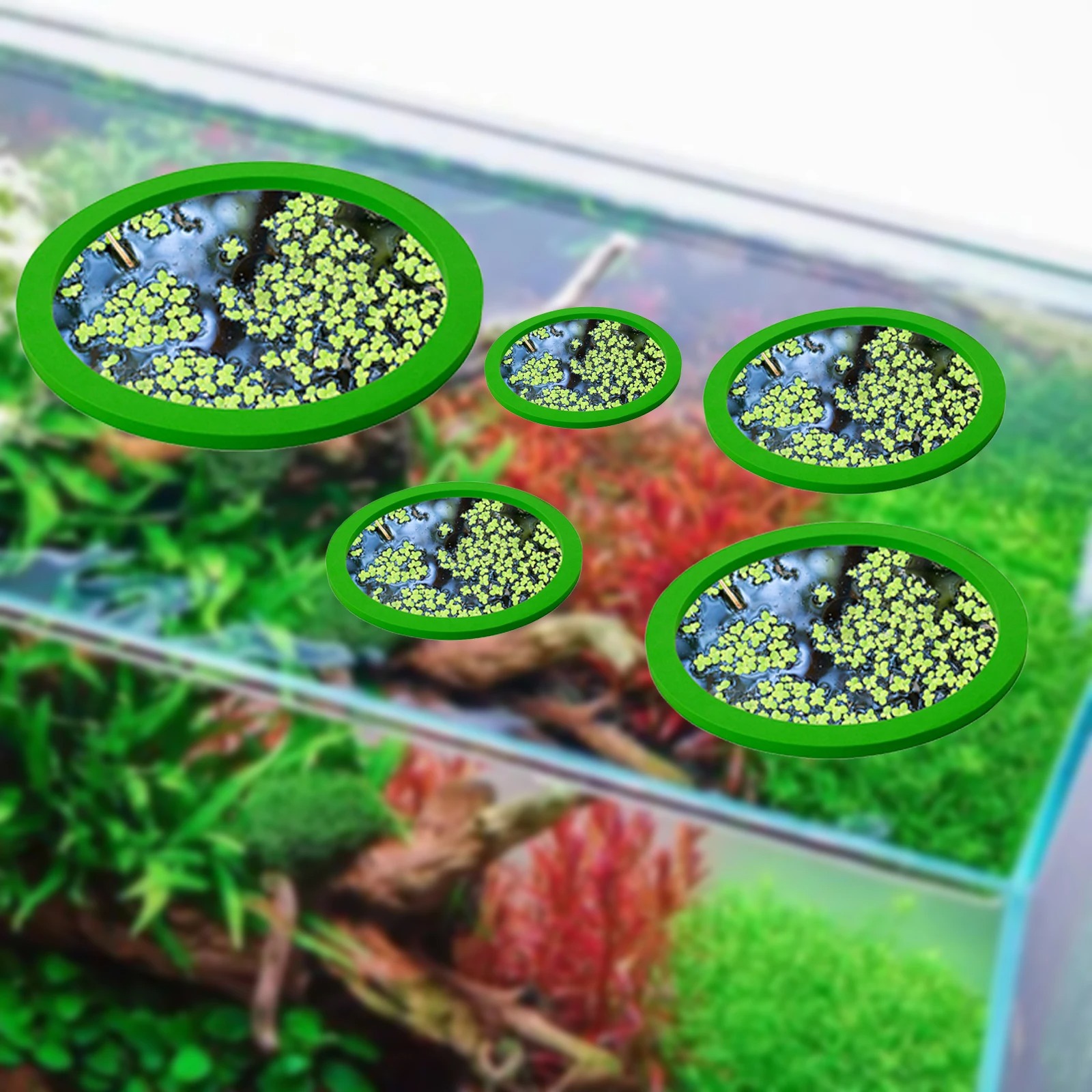 5 uds EVA anillo de alimentaci - Aquarium Fishing reseña y precio