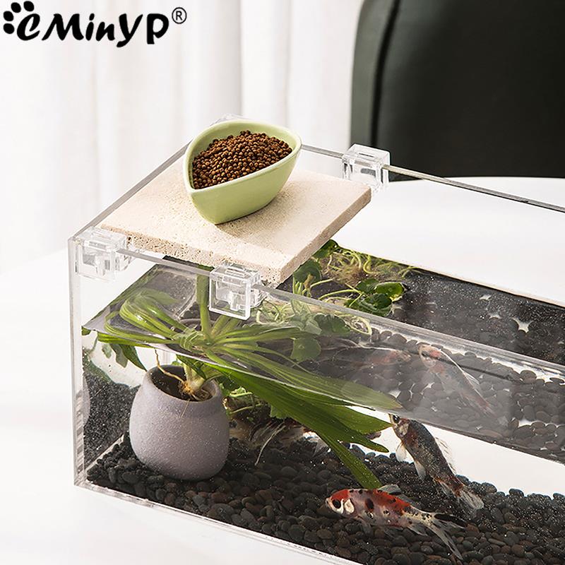 Clips acrílicos para pecera, 4 - Aquarium Fish Background reseña y precio