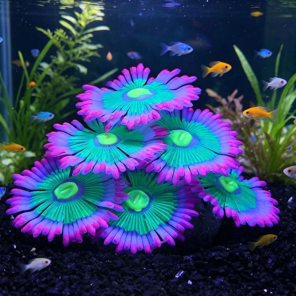 Decoraciones Luminosas para Ac - Aquarium Fish Cartoon reseña y precio