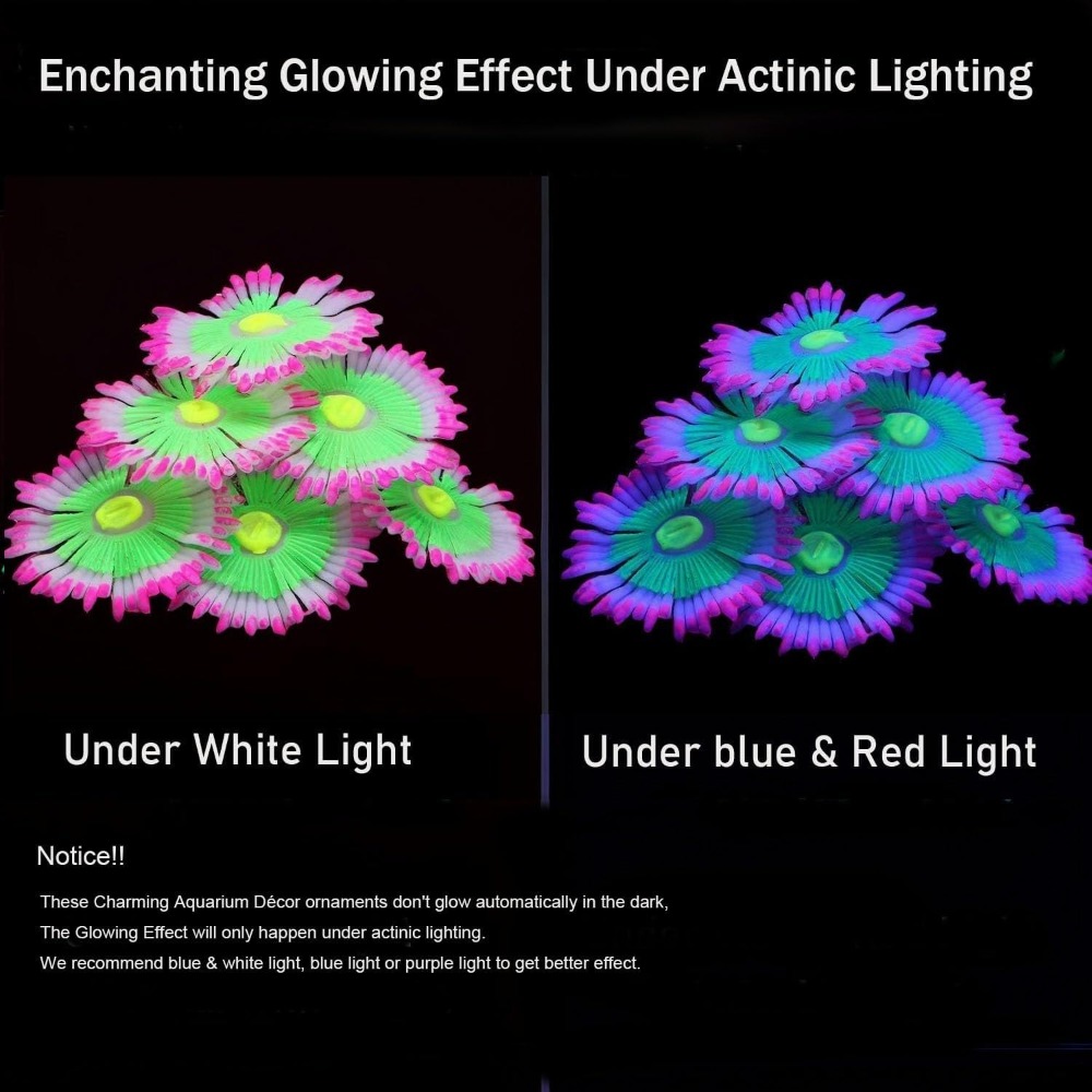 Decoraciones Luminosas para Ac - Aquarium Fish Cartoon reseña y precio