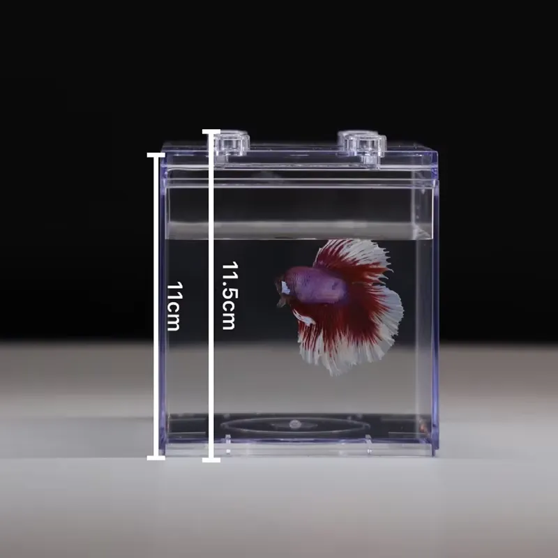 Mini Acuario Relaxlines, Decor - Box Fish In Aquarium reseña y precio