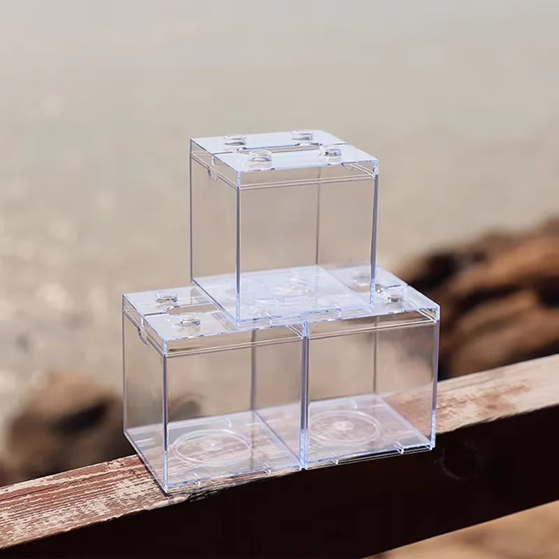 Mini Acuario Relaxlines, Decor - Box Fish In Aquarium reseña y precio
