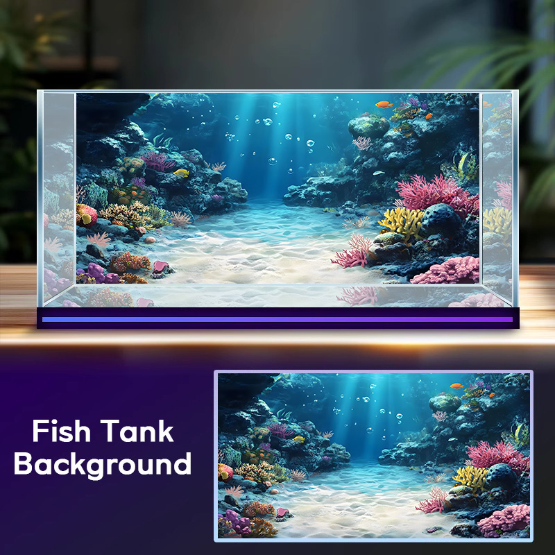 Arrecife de Coral Arcoíris, Pi - Aquarium Fish Rainbow reseña y precio