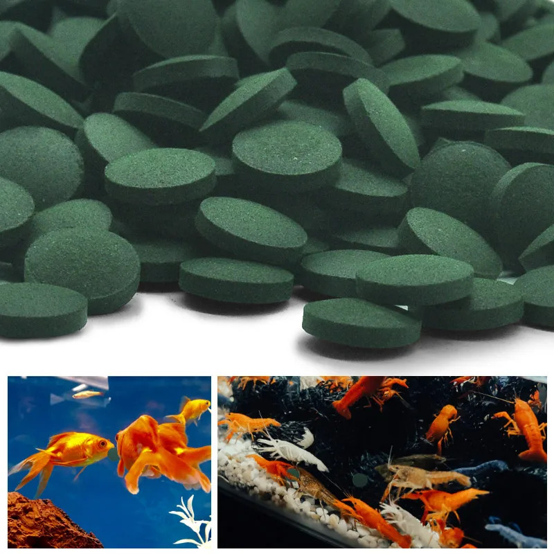 Tabletas de espirulina de alta - Aquarium Fish Holiday Food reseña y precio