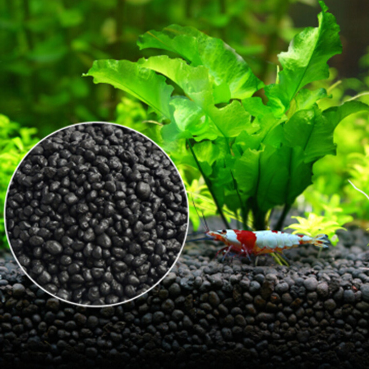 Semillas de plantas de Acuario - Aquarium Fish Background reseña y precio