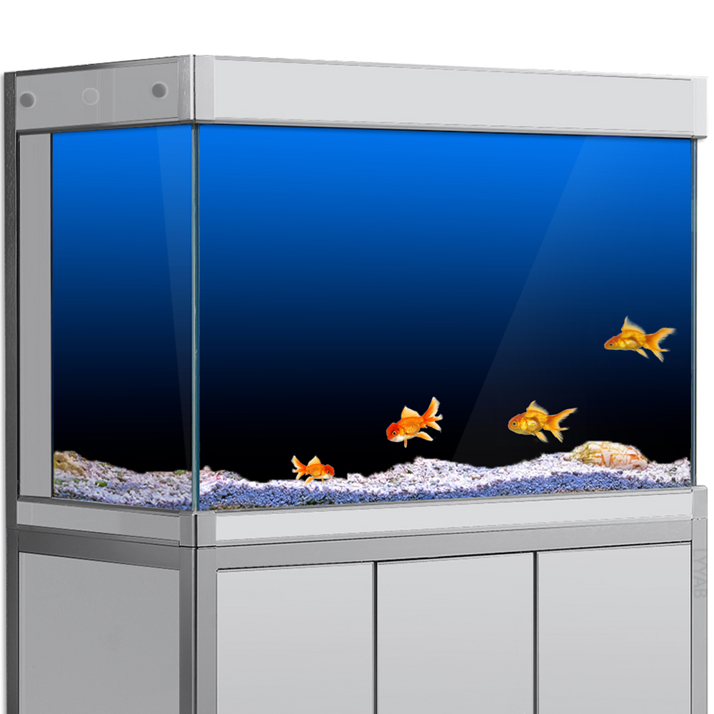 Pegatina de fondo de pecera, p - Aquarium Fish Background reseña y precio