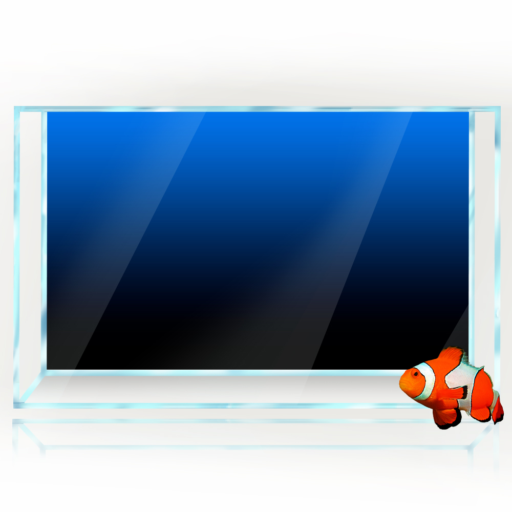 Pegatina de fondo de pecera, p - Aquarium Fish Background reseña y precio