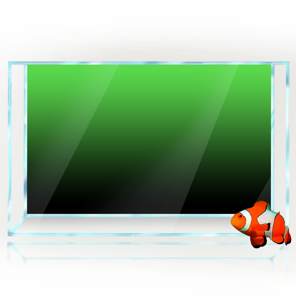 Pegatina de fondo de pecera, p - Aquarium Fish Background reseña y precio