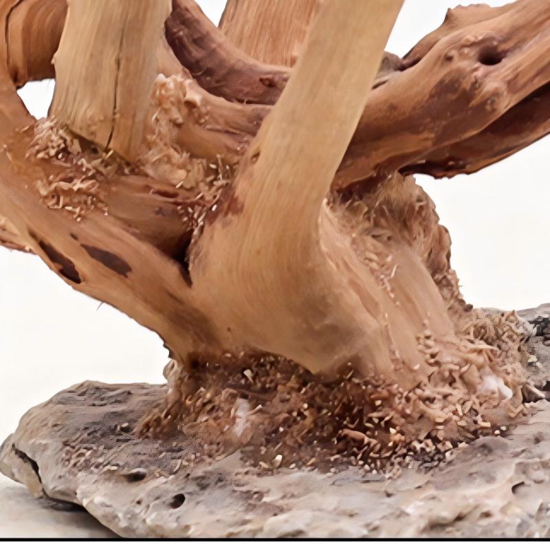 Adornos de madera para paisaji - Aquarium Fish Cartoon reseña y precio