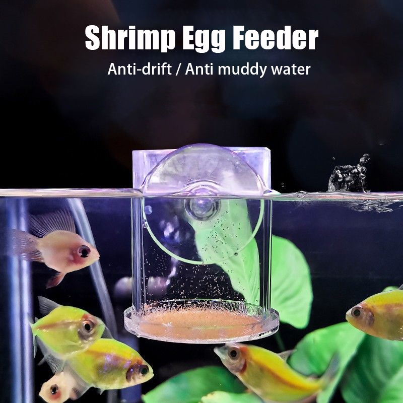 Taza de alimentación de peces  - Aquarium Fish Holiday Food reseña y precio