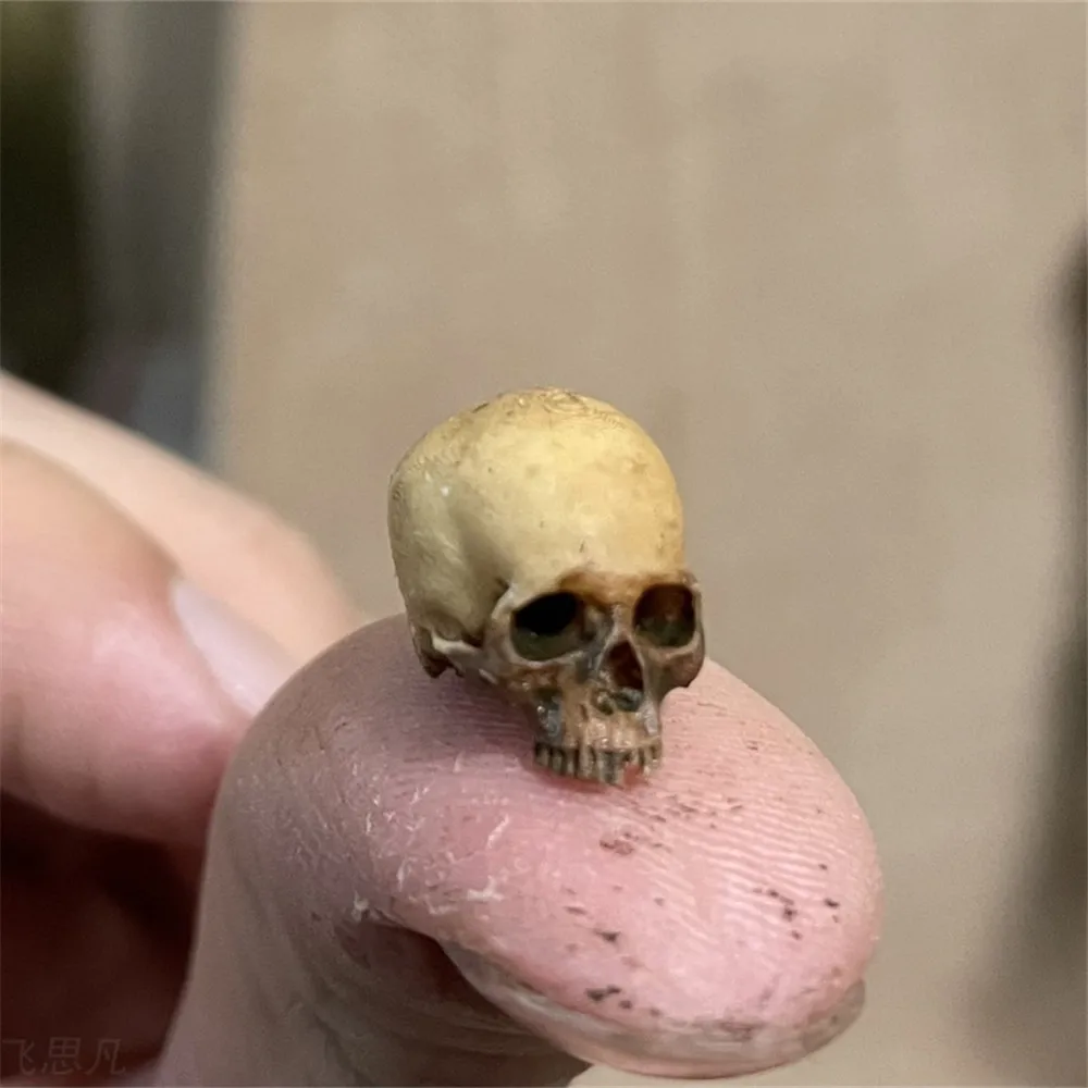 Mini calavera, modelo en minia - Aquarium Fish Names reseña y precio