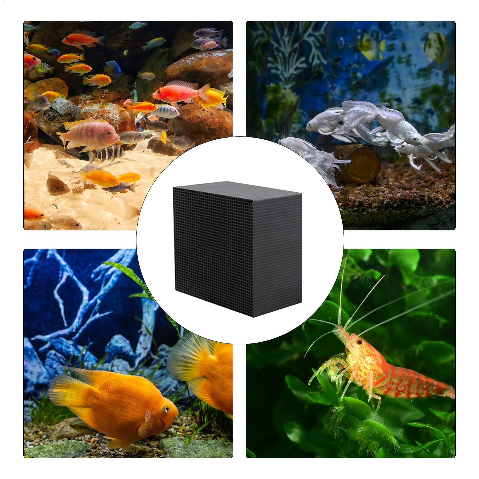 Cubo Purificador de Agua para  - Aquarium Fish Background reseña y precio