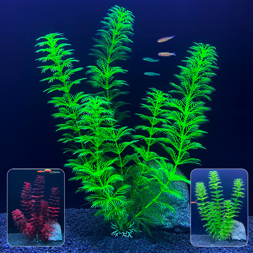 Plantas Artificiales para Acua - Aquarium Fish Cartoon reseña y precio